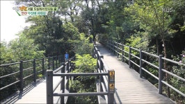 “서울 도심에서 만나는 숲” 안산 무장애 자락길 - kakaoTV “서울 도심에서 만나는 숲” 안산 무장애 자락길