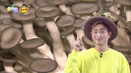 [꼬야식당] 오늘의 재료! 모자를 쓰고 옹기종기 모인 버섯♪ | KBS 210707 방송 - kakaoTV [꼬야식당] 오늘의 재료! 모자를 쓰고 옹기종기... 