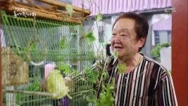 카나리아와 함께하는 ‘60년 이용원’ - kakaoTV 카나리아와 함께하는 ‘60년 이용원’