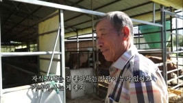 게스트 하우스를 운영하려고 준비 중인 지연 씨와 경민 씨 - kakaoTV 게스트 하우스를 운영하려고 준비 중인 지연 씨와 경민 씨