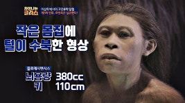 신종 인류vs돌연변이, 실존했던 호빗족 플로레시엔시스 - kakaoTV 신종 인류vs돌연변이, 실존했던 호빗족 플로레시엔시스