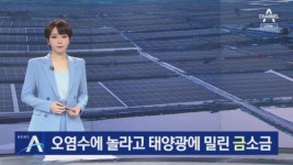 日 오염수에 놀라고 태양광 발전소에 밀린 ‘금 소금’ - kakaoTV 日 오염수에 놀라고 태양광 발전소에 밀린 ‘금 소금’