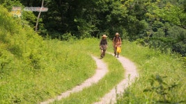 수리딸기 먹고 아리랑 - kakaoTV 수리딸기 먹고 아리랑