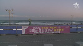 [현장 카메라]해맞이객 북적…주차장 된 해안 도로 - kakaoTV [현장 카메라]해맞이객 북적…주차장 된 해안 도로