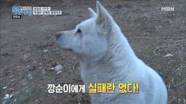 소란스워진 양계장!? - kakaoTV 소란스워진 양계장!?