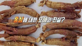 홍삼 궁금증, 먹으면 체온을 오르게 한다? 정답은 ‘아니오’ - kakaoTV 홍삼 궁금증, 먹으면 체온을 오르게 한다? 정답은 ‘아니오’