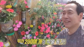 도심 속 주택가 담벼락 힐링! 화려한 그린하우스 - kakaoTV 도심 속 주택가 담벼락 힐링! 화려한 그린하우스