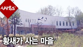 황새가 사는 마을 2015 0424 시사플러스 - kakaoTV 황새가 사는 마을 2015 0424 시사플러스