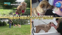 [예고] 오늘은 봉구데이! 봉구는 힐리중~☆ - kakaoTV [예고] 오늘은 봉구데이! 봉구는 힐리중~☆