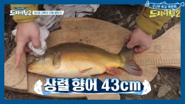 넣으면 10초 안에 잡는 상렬의 향어 M.A.G.I.C↗↗ - kakaoTV ※리얼... 상황※ 신기록 달성! 넣으면 10초 안에 잡는 상렬의 향어 M.A.G.I.C↗↗ 