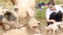 함은정, 동물 친구들과 함께 맞이한 정글 모닝! - kakaoTV 함은정, 동물 친구들과 함께 맞이한 정글 모닝!