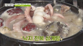 담백하고 얼큰하게 보양하는 탕 요리 끝판왕 낙지 전복 삼계탕 - kakaoTV 담백하고 얼큰하게 보양하는 탕 요리 끝판왕 낙지 전복 삼계탕