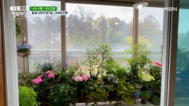 꽃과 나무가 반기는 그녀의 뜨락~! MBN 210428 방송 - kakaoTV 꽃과 나무가 반기는 그녀의 뜨락~! MBN 210428 방송