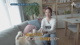 황금상사 초특급 게스트! 보리와 착한이의 일상 - kakaoTV 황금상사 초특급 게스트! 보리와 착한이의 일상