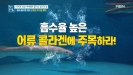 닭발 이기는 흡수율 甲, 어류 콜라겐 MBN 210326 방송 - kakaoTV 돼지껍질, 족발, 닭발 이기는 흡수율 甲, 어류 콜라겐 MBN 210326 방송