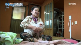 복남이가 할머니의 생명의 은인이라는데... - kakaoTV 복남이가 할머니의 생명의 은인이라는데...