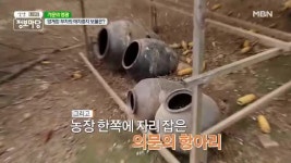 꼬끼오~양계장 부자의 애지중지 보물은? MBN 210511 방송 - kakaoTV 꼬끼오~양계장 부자의 애지중지 보물은? MBN 210511 방송