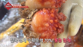 해산물 천국! 통영의 HOT한 것? - kakaoTV 해산물 천국! 통영의 HOT한 것?