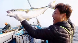 마라도 앞바다 거친 파도 위 황금방어 낚시! - kakaoTV 마라도 앞바다 거친 파도 위 황금방어 낚시!