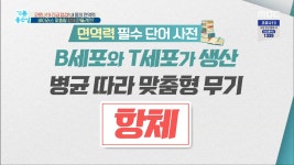 B세포와 T세포가 생산, 병균 따라 맞춤형 무기 항체 - kakaoTV B세포와 T세포가 생산, 병균 따라 맞춤형 무기 항체
