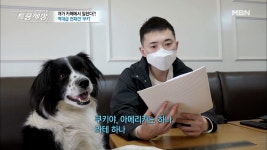 서당 개 3년이면 풍월을 읊는다더니 그 서당 개가 환생했나요? MBN 210415 방송 - kakaoTV 서당 개 3년이면 풍월을 읊는다더니 그 서당... 