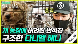(다니엘헤니 풀버전) 너무나도 열악한 번식견... 위한 다니엘 헤니의 도전 | #업글인간 #디글 #인기급상승 - kakaoTV (다니엘헤니 풀버전) 너무나도... 