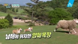 개밥 주는 남자 24회 - kakaoTV 개밥 주는 남자 24회