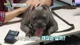 맥시멈에게 싱크홀（?）이 생겼다?! 우리가 모르던 맥시멈의 고충! - kakaoTV 맥시멈에게 싱크홀（?）이 생겼다?! 우리가 모르던 맥시멈의 고충!