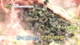 보양식 대표들의 만남! 보기만 해도 힘이 솟는 다슬기 삼계탕 - kakaoTV 보양식 대표들의 만남! 보기만 해도 힘이 솟는 다슬기 삼계탕