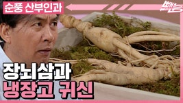 [순풍 산부인과] 화려한 군침이 나를 싸악 감싸네😋 장뇌삼을... kakaoTV [순풍 산부인과] 화려한 군침이 나를 싸악 감싸네😋 장뇌삼을... 