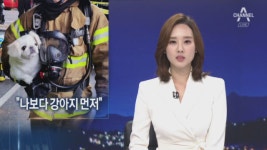 반려동물 챙기는 소방대원들…심폐소생술 등 전문교육 강화 - kakaoTV 반려동물 챙기는 소방대원들…심폐소생술 등 전문교육 강화