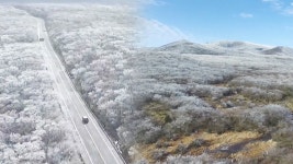 한라산 눈꽃 명소! 1100고지 휴게소 - kakaoTV 한라산 눈꽃 명소! 1100고지 휴게소