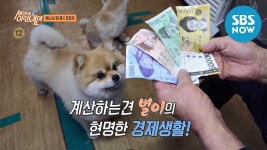 [순간포착 세상에 이런 일이] Ep.1075 예고 계산이요~ 부르면...  Preview | SBS NOW - kakaoTV [순간포착 세상에 이런 일이] Ep.1075... 