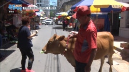 우유를 사러 명공이와 함께 시내에 나가는 할아버지! - kakaoTV 우유를 사러 명공이와 함께 시내에 나가는 할아버지!