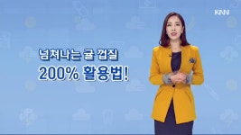 귤껍질 활용법 - kakaoTV 귤껍질 활용법