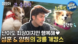 세젤귀 양희와 개오빠 성훈의 커플 여행💘 #성훈 #양희... 세젤귀 양희와 개오빠 성훈의 커플 여행💘 #성훈 #양희 #엠뚜루마뚜루... 