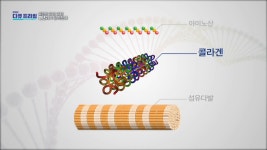 콜라겐 있고! 없고! 갱년기가 달라진다, MBC 210124 방송 - kakaoTV 콜라겐 있고! 없고! 갱년기가 달라진다, MBC 210124 방송