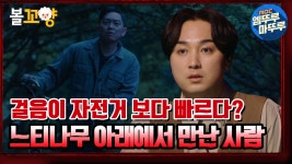 느티나무 아래 좁은 길에서 만난 사람｜#엠뚜루마뚜루 MBC210520방송 - kakaoTV [엠뚜루마뚜루] 사람의 걷는 속도가 자전거 보다도 빠르다?... 