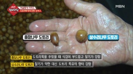 도토리묵 맛집 수제 방식 과정 공개 ① - kakaoTV 도토리묵 맛집 수제 방식 과정 공개 ①