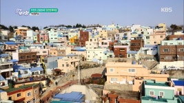 부산의 감성동네! 감천문화마을 - 부산광역시 - kakaoTV 부산의 감성동네! 감천문화마을 - 부산광역시