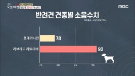 옆집에 펫시터가 산다? - kakaoTV 옆집에 펫시터가 산다?