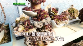 박물관 부럽지 않은 나의 정원 MBN 210210 방송 - kakaoTV 박물관 부럽지 않은 나의 정원 MBN 210210 방송