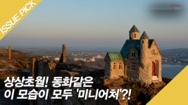 상상초월! 동화같은 이 모습이 모두 미니어처?! - kakaoTV 상상초월! 동화같은 이 모습이 모두 미니어처?!