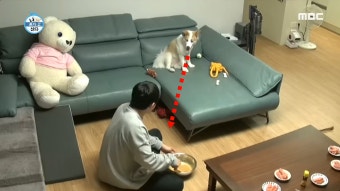 양희와의 기싸움에서 진 기안84... 자동 뒷걸음질... (?) - kakaoTV 양희와의 기싸움에서 진 기안84... 자동 뒷걸음질... (?)