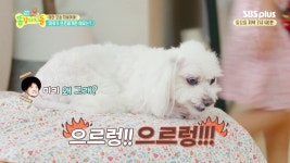 미키, 으르렁 으르렁 으르렁대! - kakaoTV 미키, 으르렁 으르렁 으르렁대!
