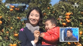 ‘제주 여행 빅픽처’ ①감귤 농장 - kakaoTV 24시간이 모자라♪ 수경 투어의 서막이 올랐다! ‘제주 여행 빅픽처’ ①감귤 농장