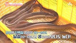 고단백 회춘식품 '장어'에 들어있는 [카르노신]이란? - kakaoTV 고단백 회춘식품 '장어'에 들어있는 [카르노신]이란?