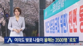 “올해는 추첨으로”…여의도 벚꽃 나들이 3500명 ‘로또’ - kakaoTV “올해는 추첨으로”…여의도 벚꽃 나들이 3500명 ‘로또’