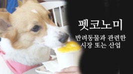 반려동물 위한 시장의 재구성 ‘펫코노미’ - kakaoTV 반려동물 위한 시장의 재구성 ‘펫코노미’