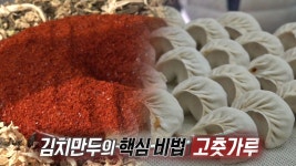 쫄깃쫄깃 살아있는 식감! 만두 달인만의 비법 공개! - kakaoTV 쫄깃쫄깃 살아있는 식감! 만두 달인만의 비법 공개!